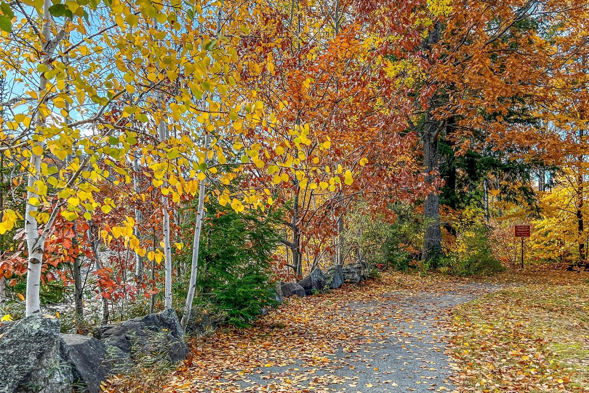 Autumn Colors Condo, Unit 215 Λίνκολν Εξωτερικό φωτογραφία
